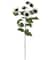 White Sunflower Stem by Ashland&#xAE;